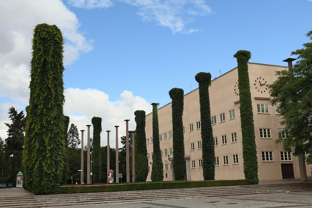 Hanseo University