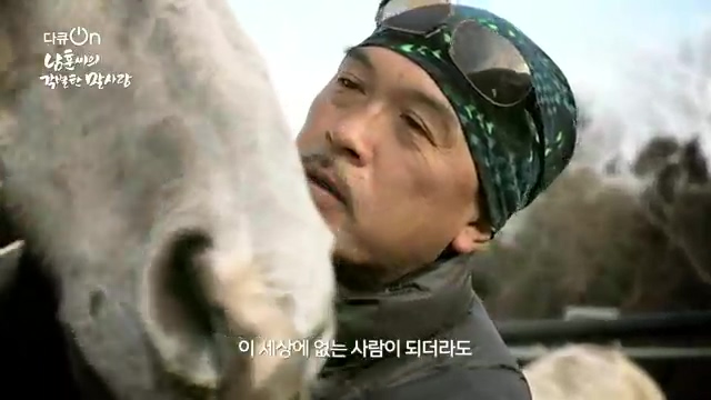 [189회] 다큐온 - KBS남훈 씨의 각별한 말 사랑] 연평균 1400여 마리의 경주마들이 경마장을 떠나 퇴역 경주마가 된다.ts_20230330_210953.885.jpg