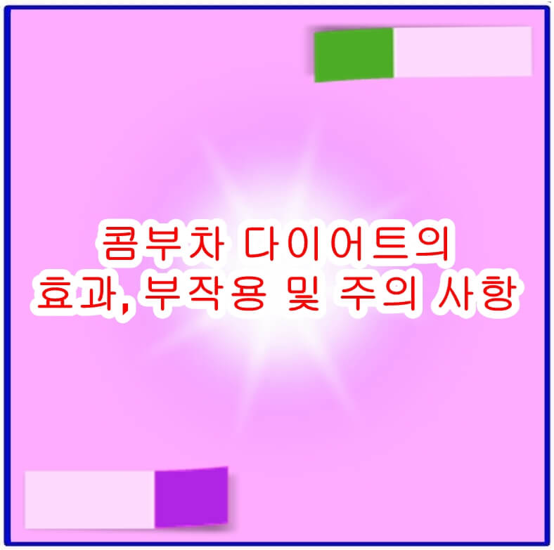 콤부차 다이어트