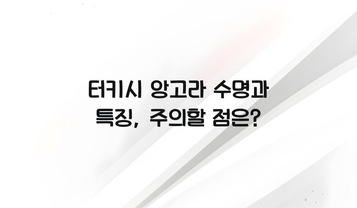터키시 앙고라 수명