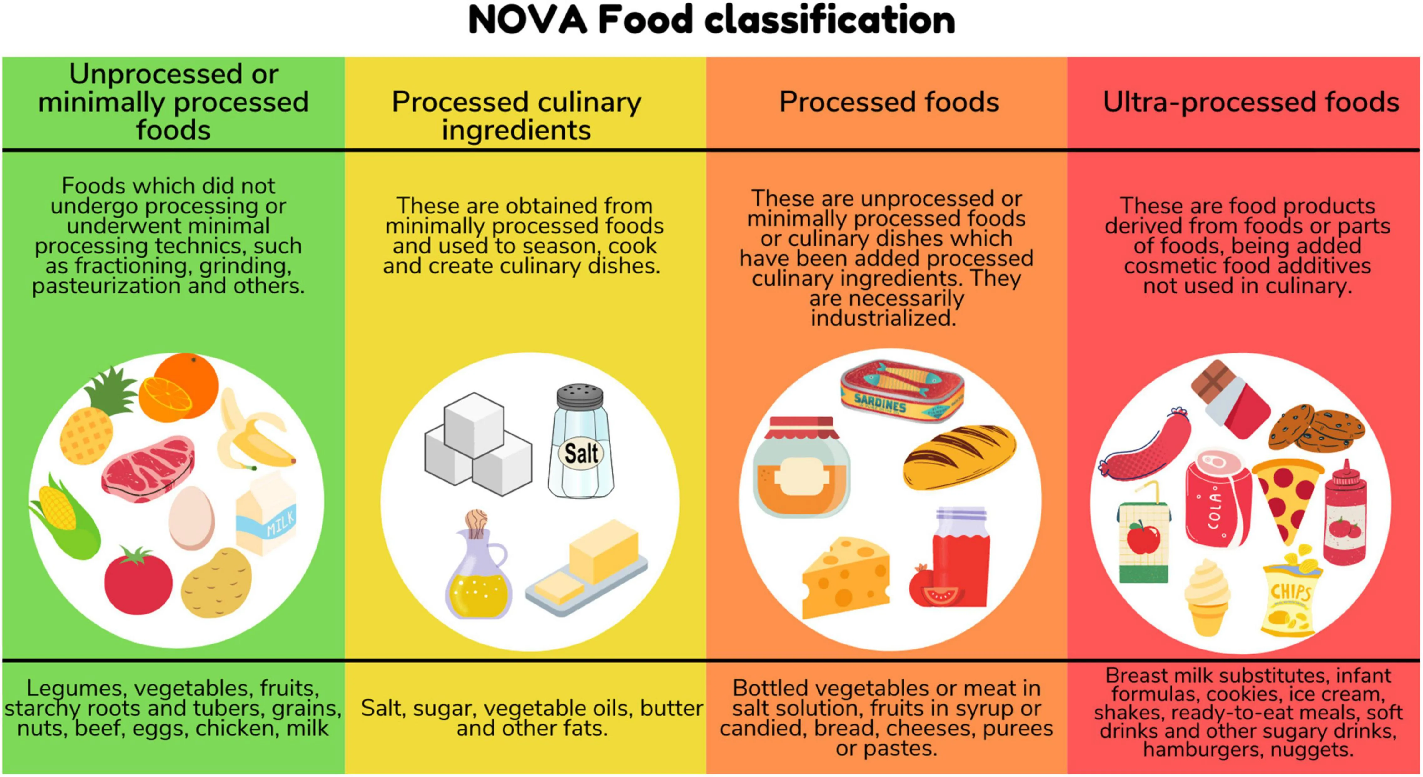 NOVA 식품분류체계