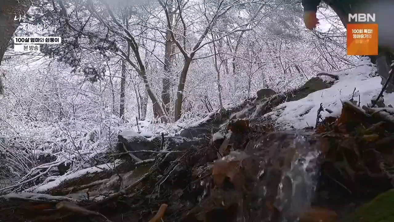 나는 자연인이다.E597.240314p-NEXT.mp4_20240314_195522.663.jpg