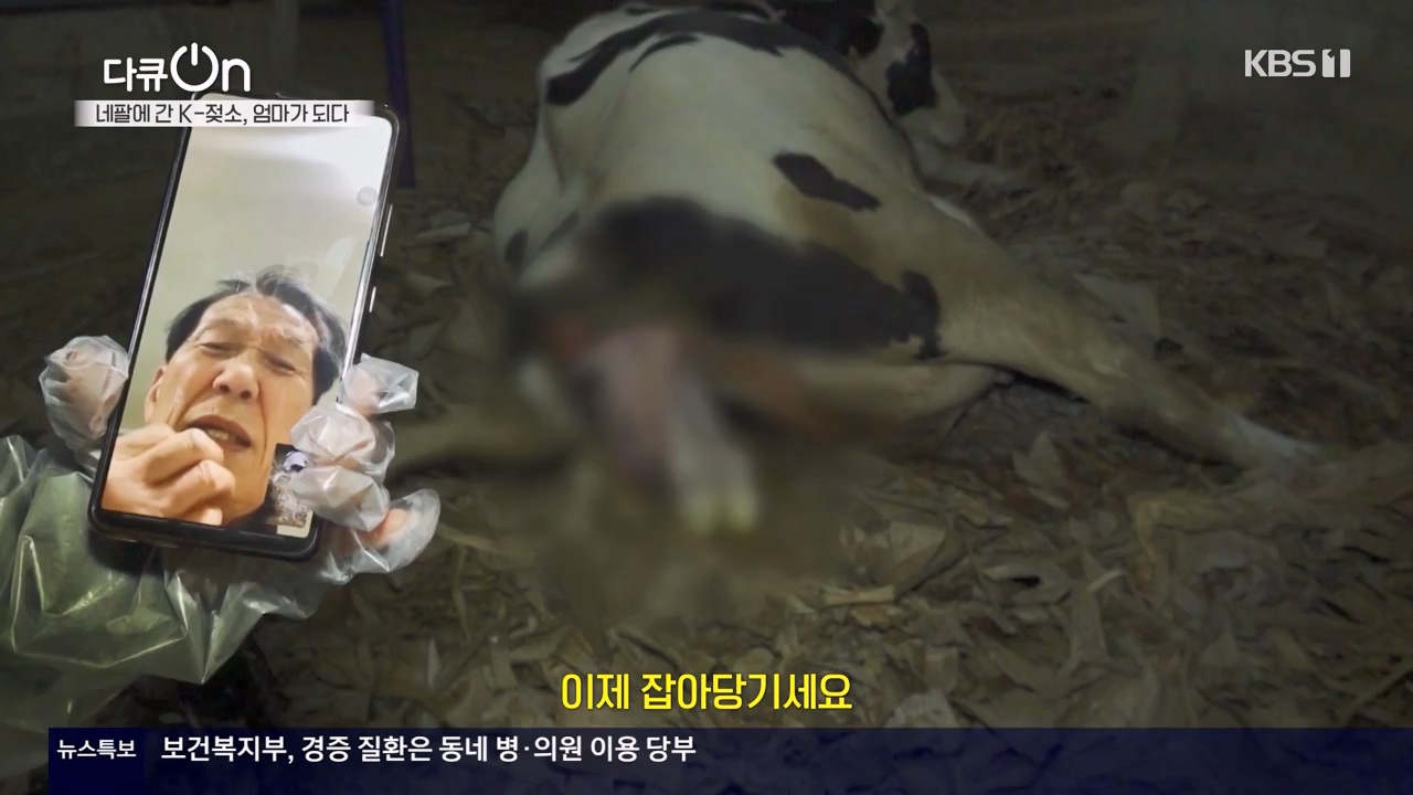 다큐 온.E241.240317p-NEXT.mp4_20240317_182815.671.jpg