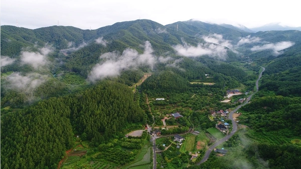 백운산자연휴양림