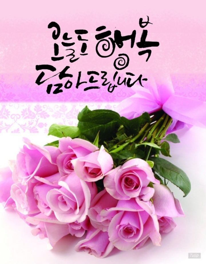 행복담아 이미지