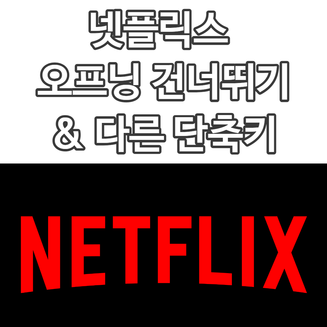  넷플릭스 오프닝 건너뛰기 & 다른 단축키 모음