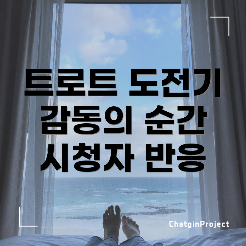 트로트