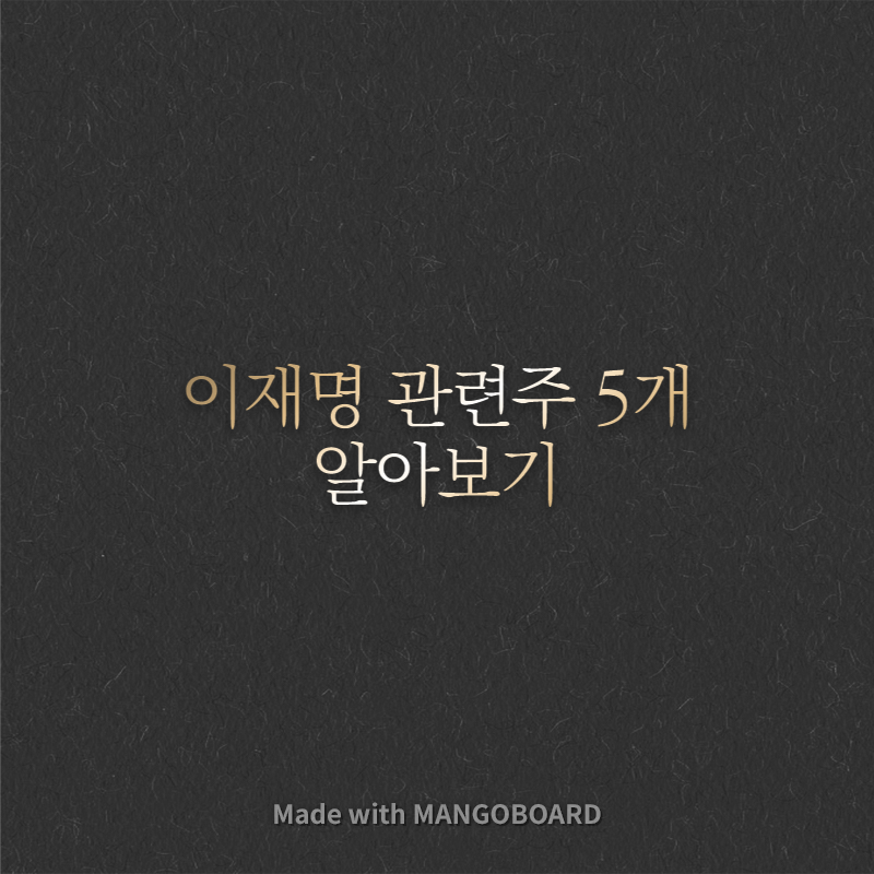  이재명 관련주 5개 알아보기