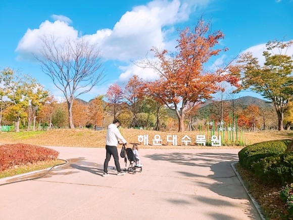 #부산 아이와가 볼만한 바다 운대수목원 7