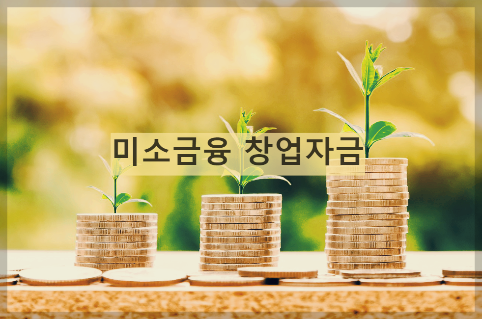  미소금융 창업자금 : 사회적 취약계층의 창업을 위한 정부지원 대출