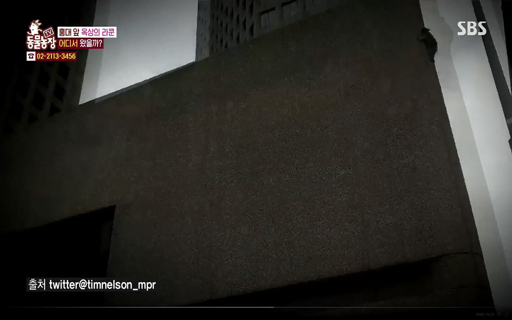 TV 동물농장.E1066.220424p.H264-F1RST.mp4_20220424_200005.019.jpg