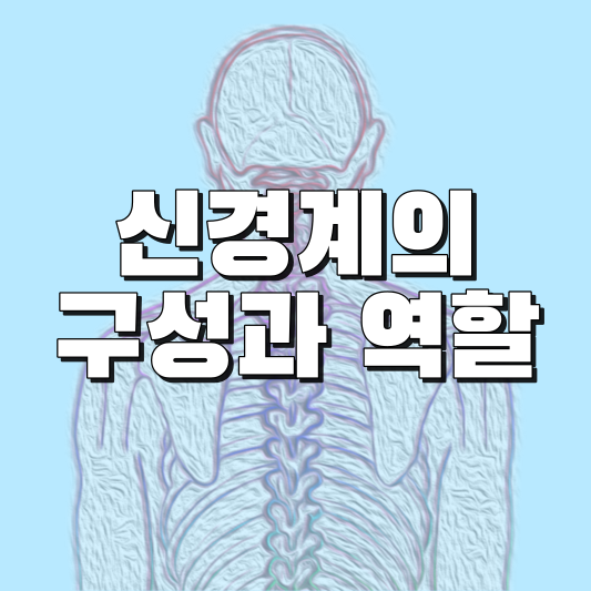  뇌졸중을 알기 전에 신경계를 알자