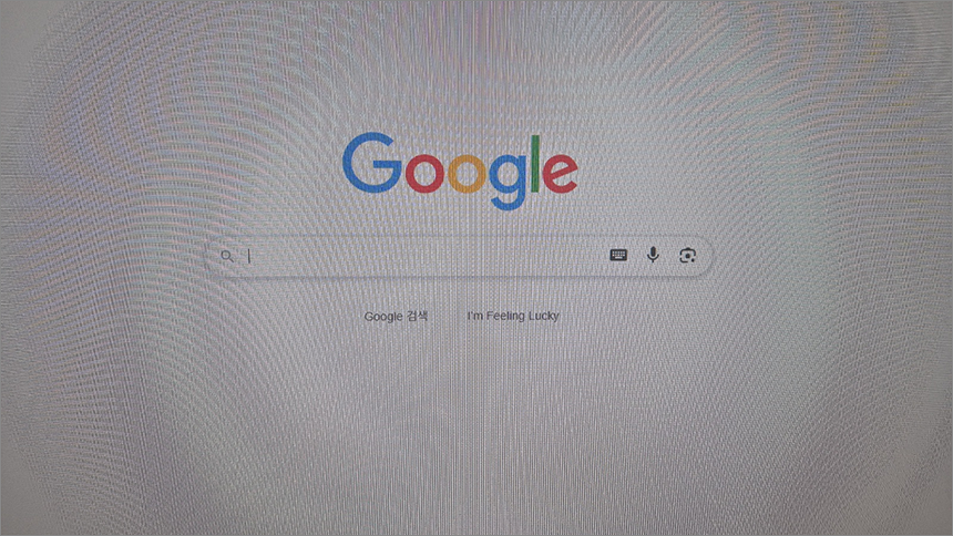 사진 (전)