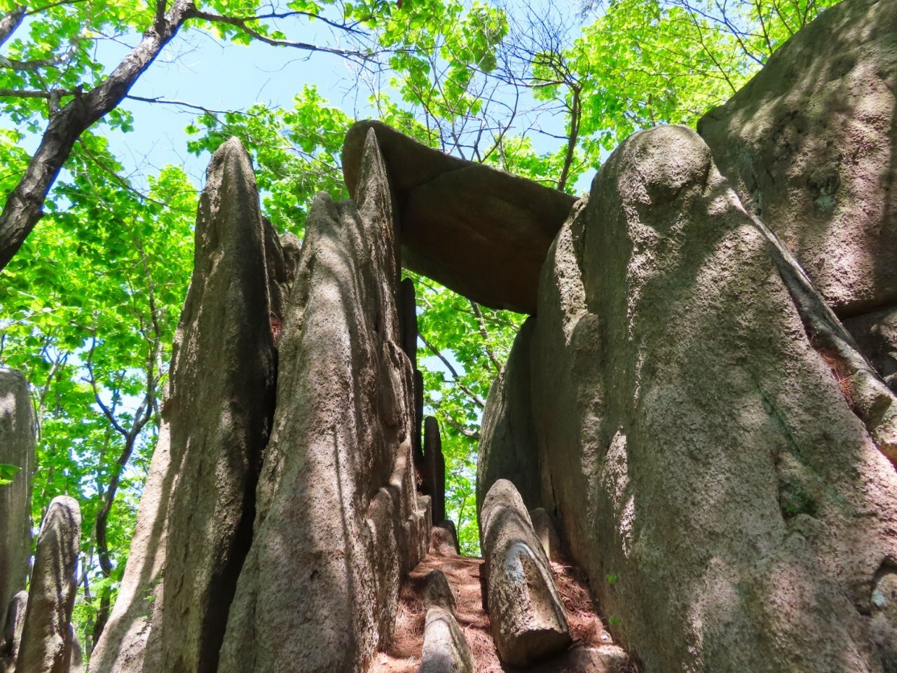 블랙야크 100+, Y출렁다리, 40