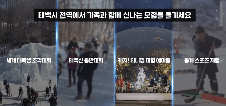 태백산 눈축제 입장료