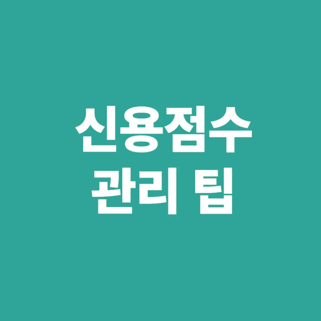 신용점수 관리 필수 팁