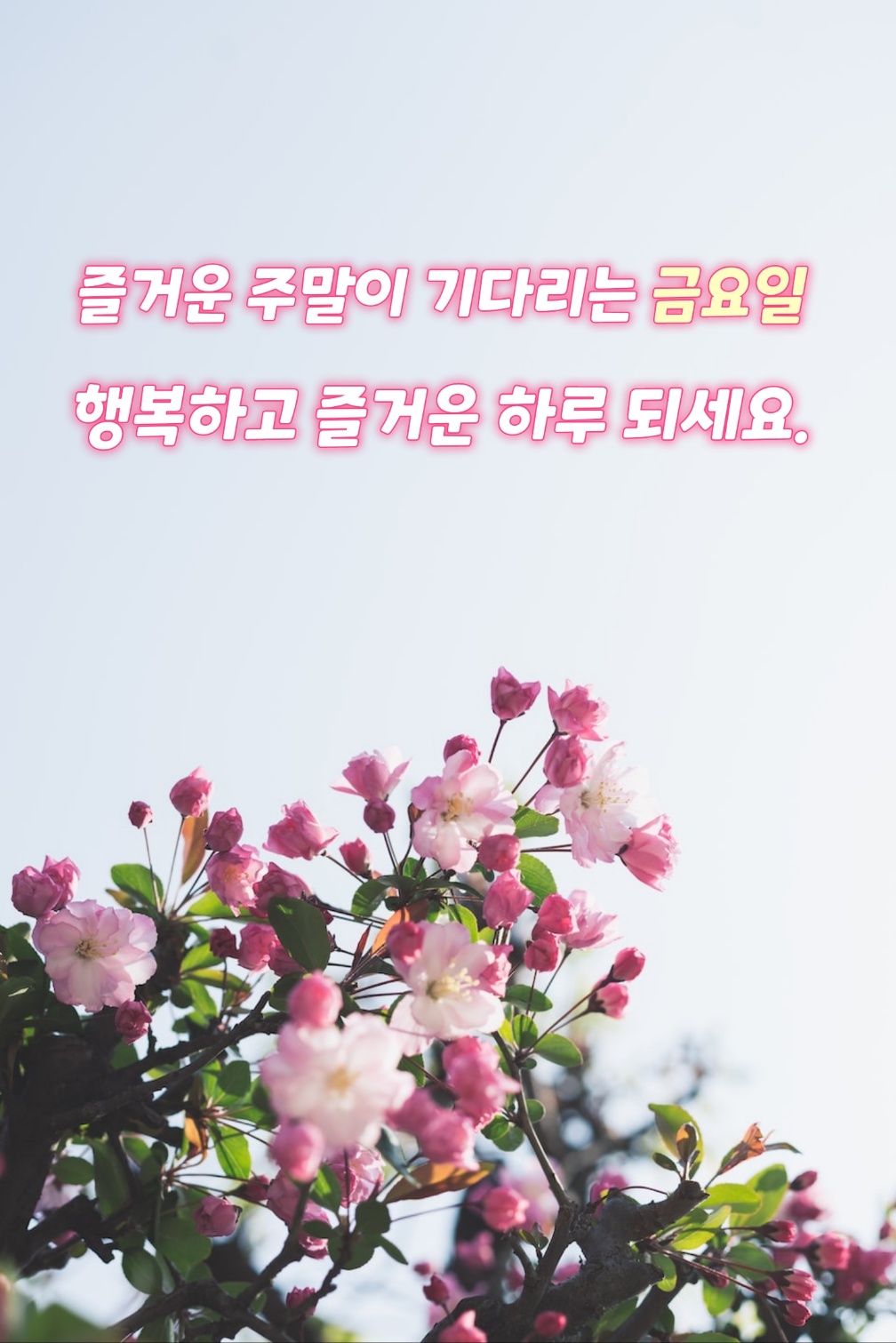 금요일 아침인사