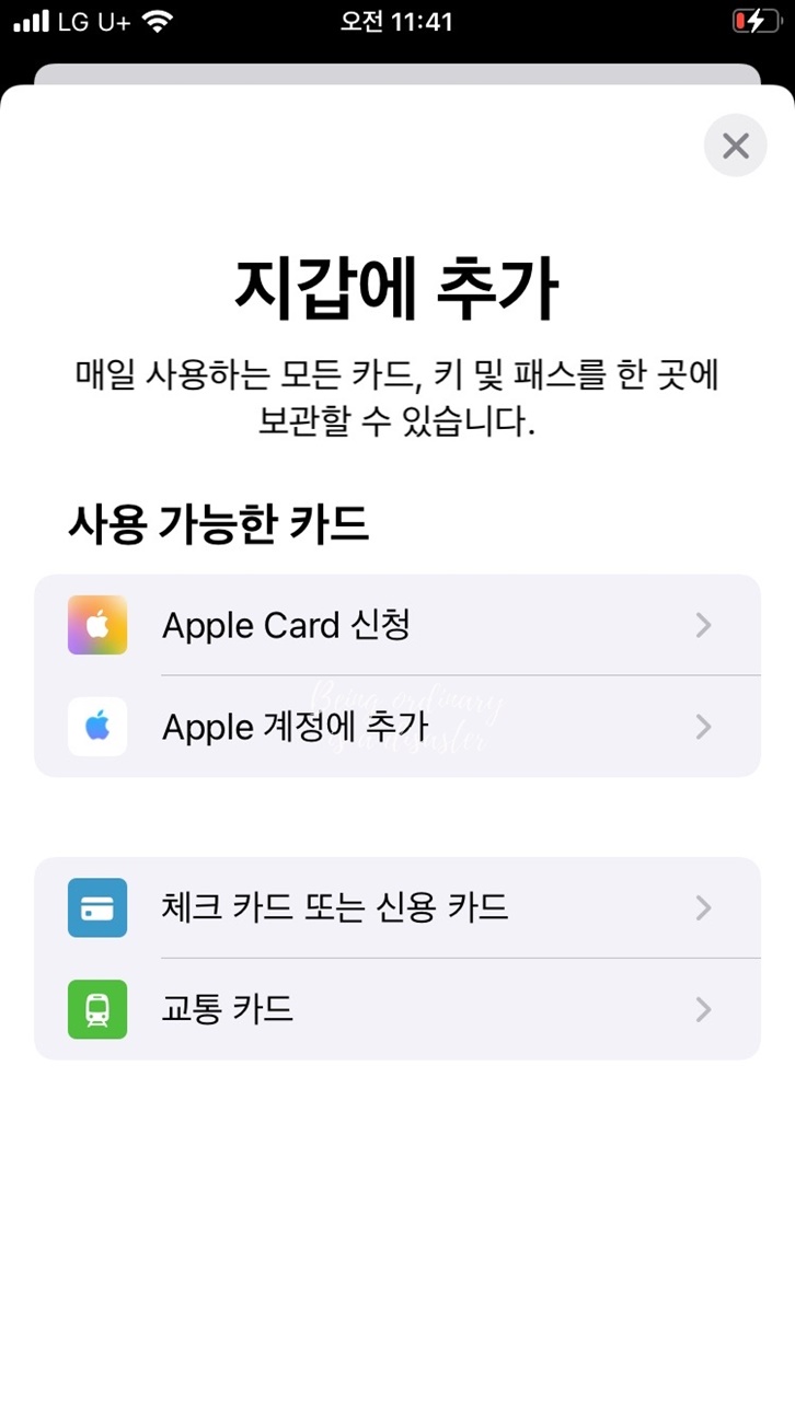애플 페이-카드 추가