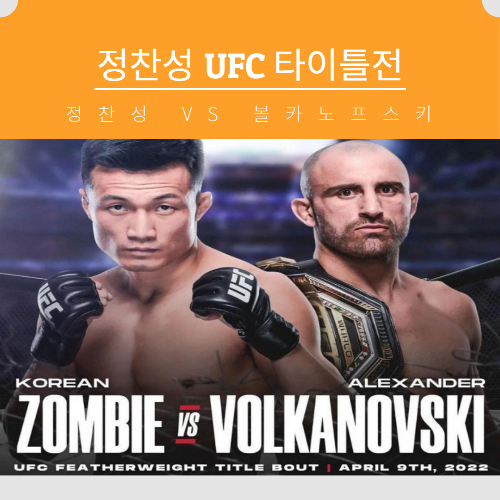  정찬성 볼카노프스키 경기