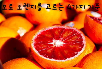  모로 오렌지 모로실 다이어트 이 글로 끝내세요.