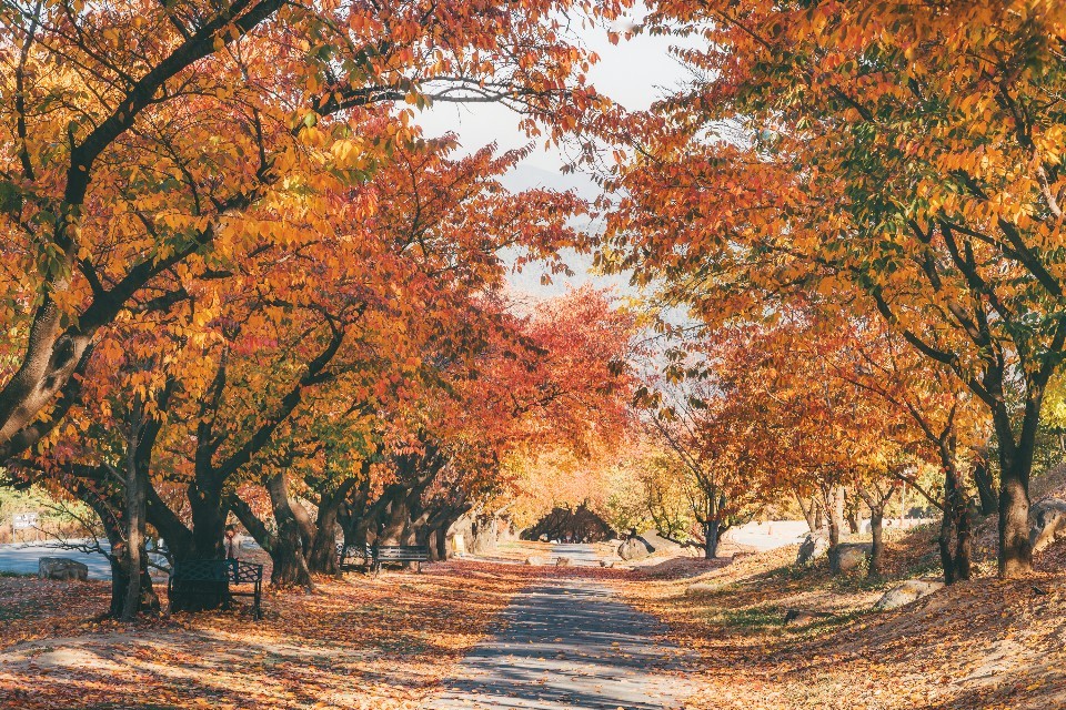 사계절 사진 5