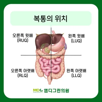왼쪽 아랫배 통증 움질일때 콕콕 땡김_2