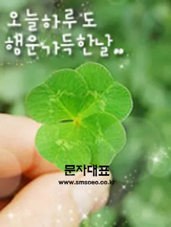 6월 인사말 모음집 이미지 문구 이미지 모음_6