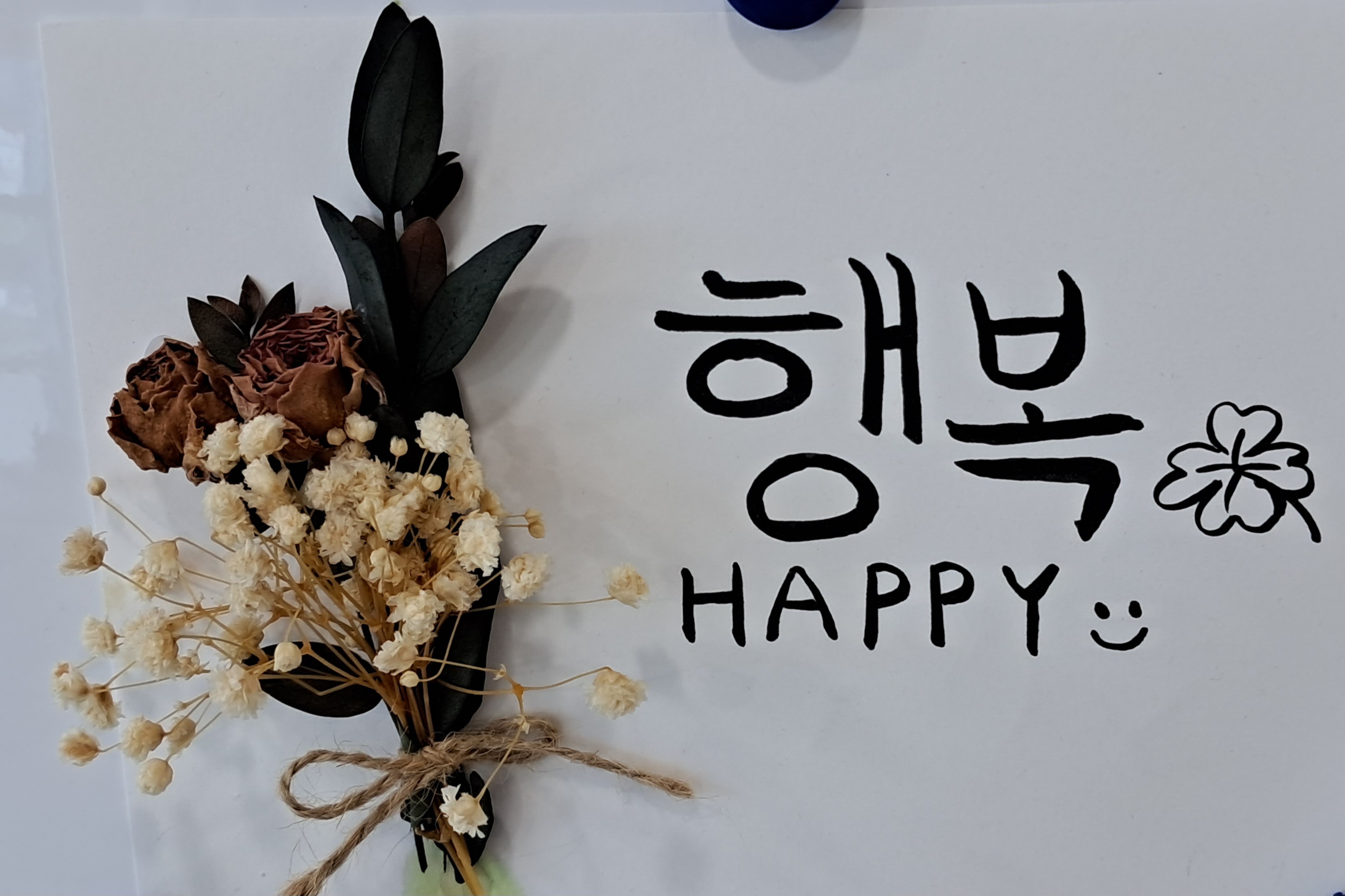  실뱀장어 조업 규제개선