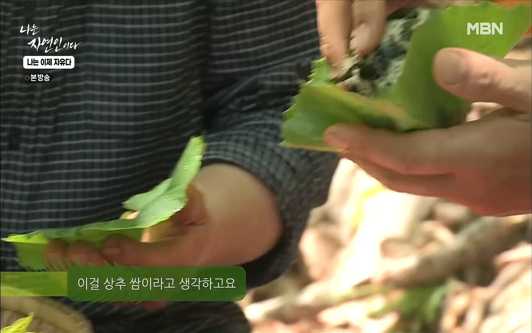 나는 자연인이다.E503.220525p.H264-F1RST.mp4_20220526_201143.480.jpg