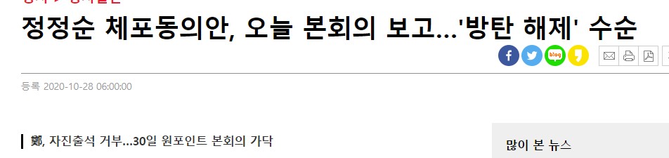  정정순 자진출석 거부,방탄 국회