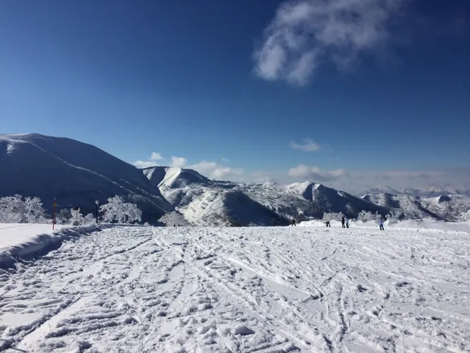 kiroro-beginner-course