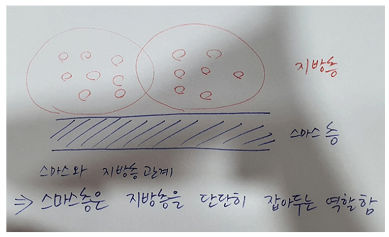 울쎄라 슈링크 차이와 부작용