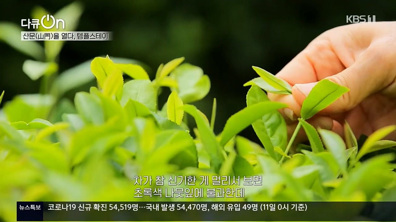 다큐 On.E170.221112p.H264-F1RST.mp4_20221120_145133.789.jpg