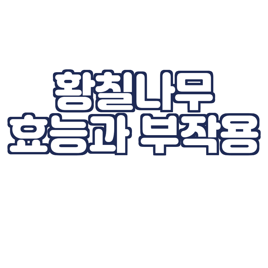  황칠나무 효능과 부작용 총 정리!