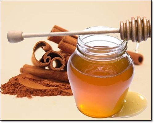 계피와 꿀의 완벽한 조합