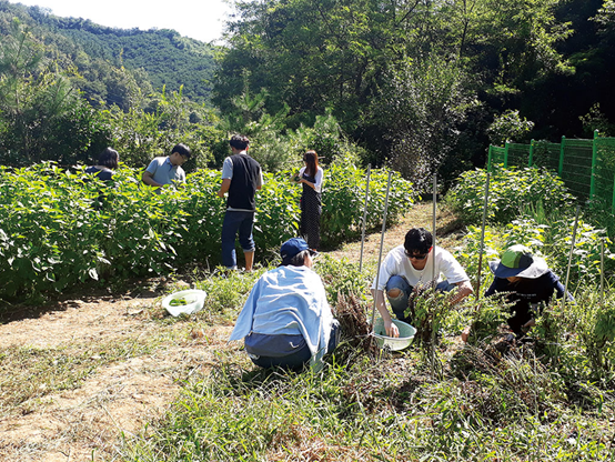  경북도지사가 추천하는 미래농업 - 청년농부사관학교 교육생 모집