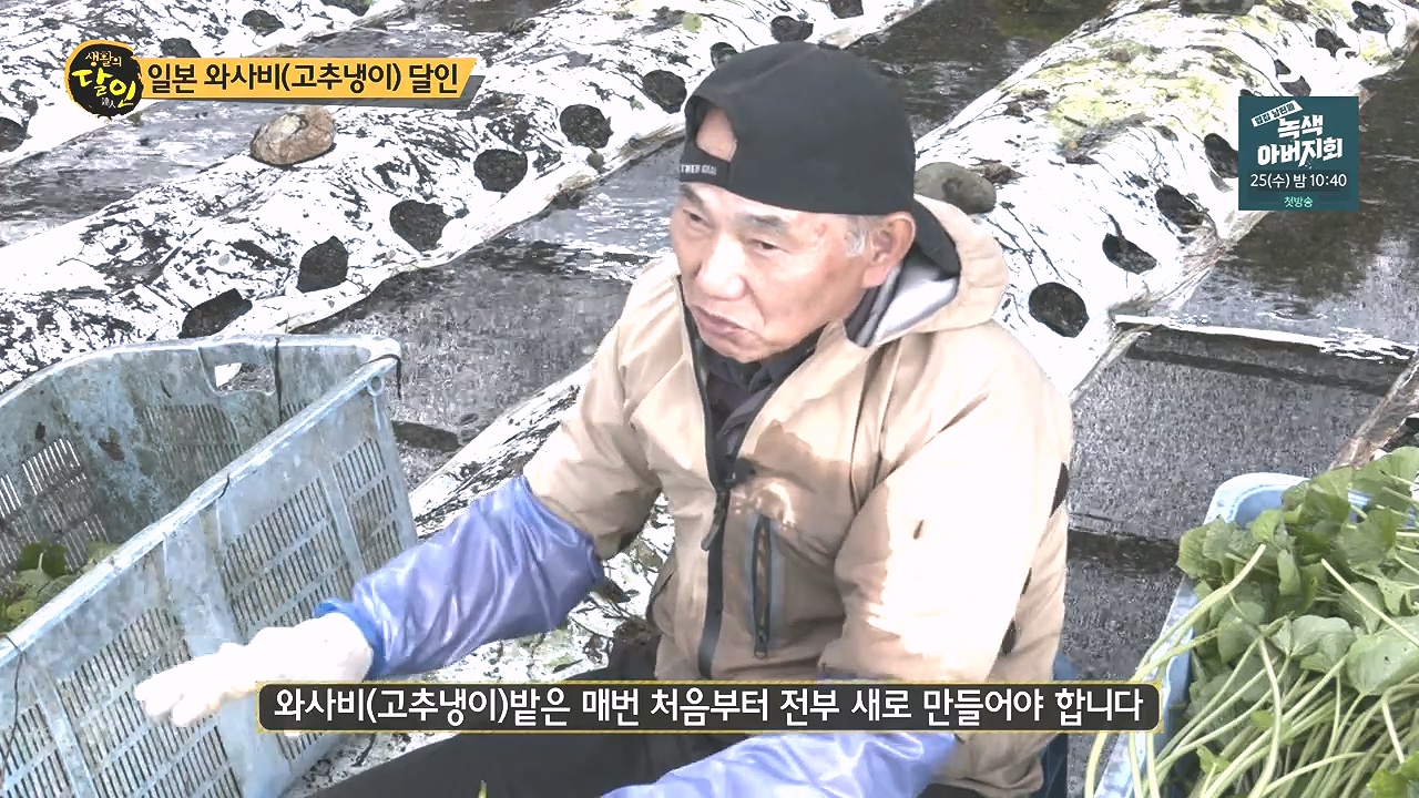 생활의 달인.E908.231017p-NEXT.mp4_20231017_200502.658.jpg