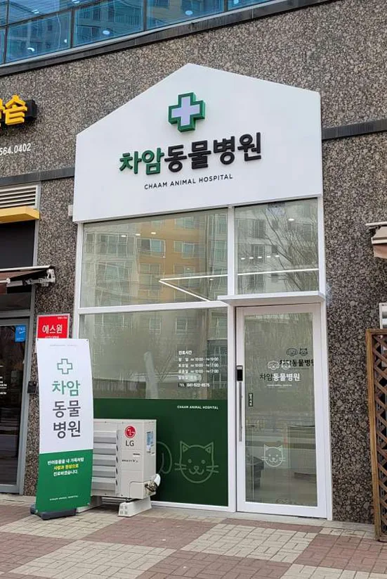 차암동물병원