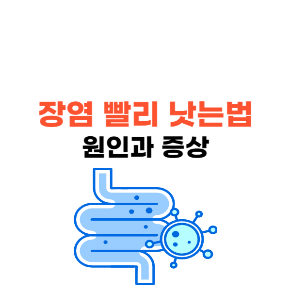 장염 빨리 낫는법&#44; 다양한 원인과 증상 알아보기