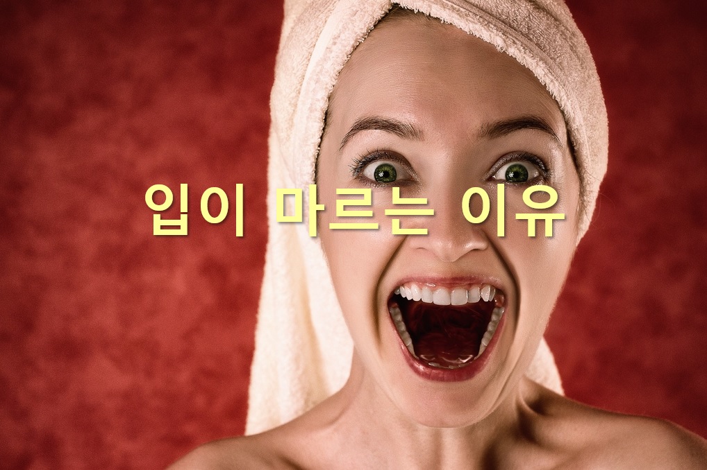  입이 마르는 이유와 입이 마르는 증상