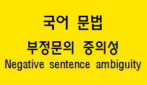  [국어 문법] 부정문의 중의성 개념과 예시