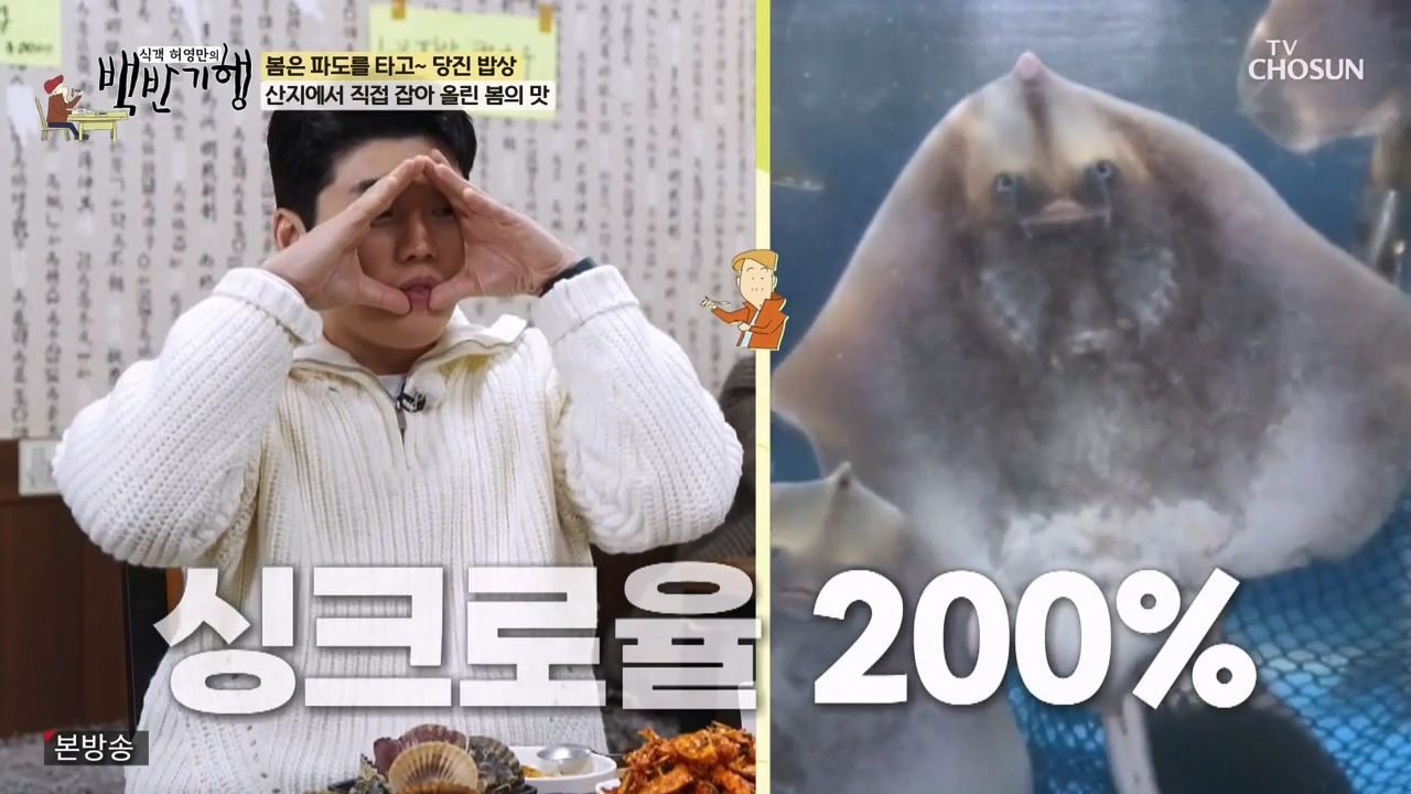 식객 허영만의 백반기행.E239.240318p-NEXT.mp4_20240318_195112.683.jpg