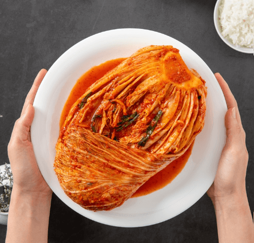 묵은지의 이해를 돕기 위한 묵은 배추 김치 사진