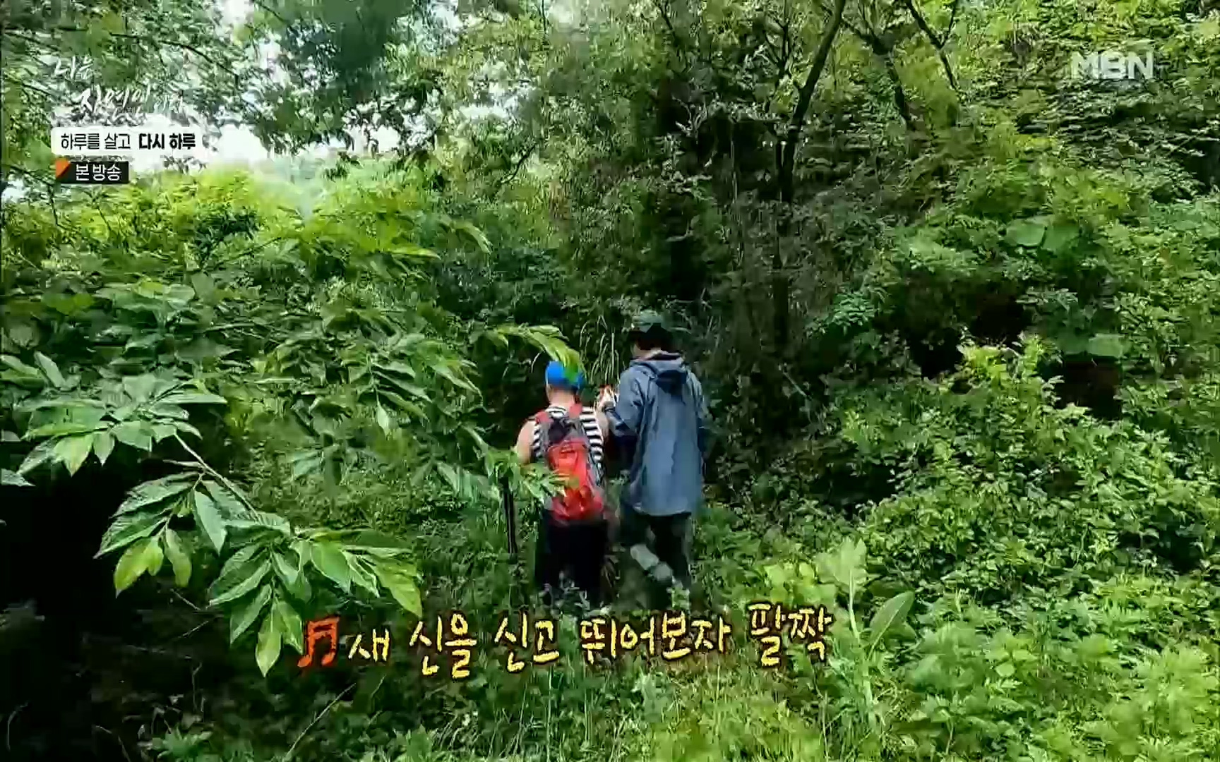 나는 자연인이다.E509.220706p.H264-F1RST.mp4_20220707_183729.008.jpg