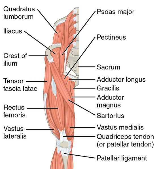 무릎 뒤쪽통증 예방법
