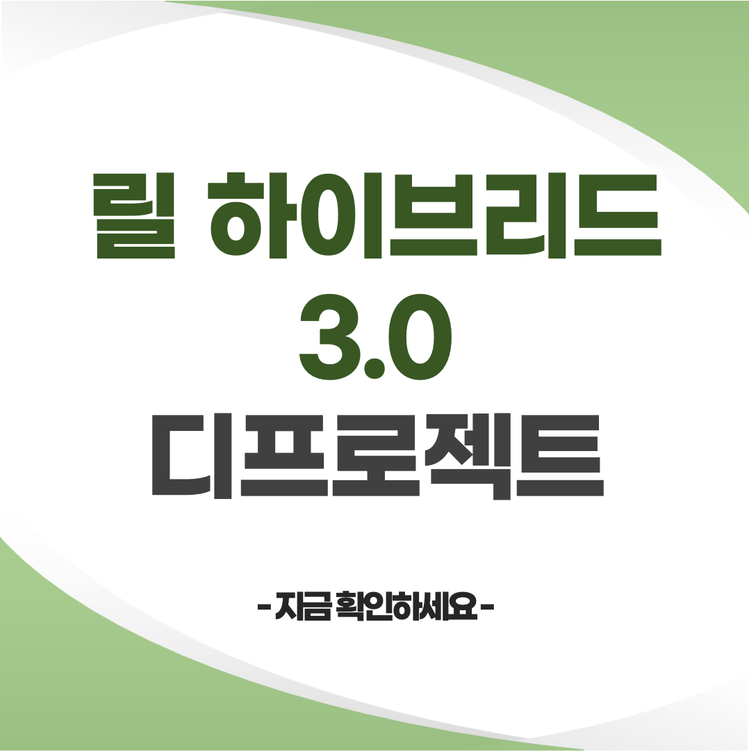 릴 하이브리드 3.0 디프로젝트