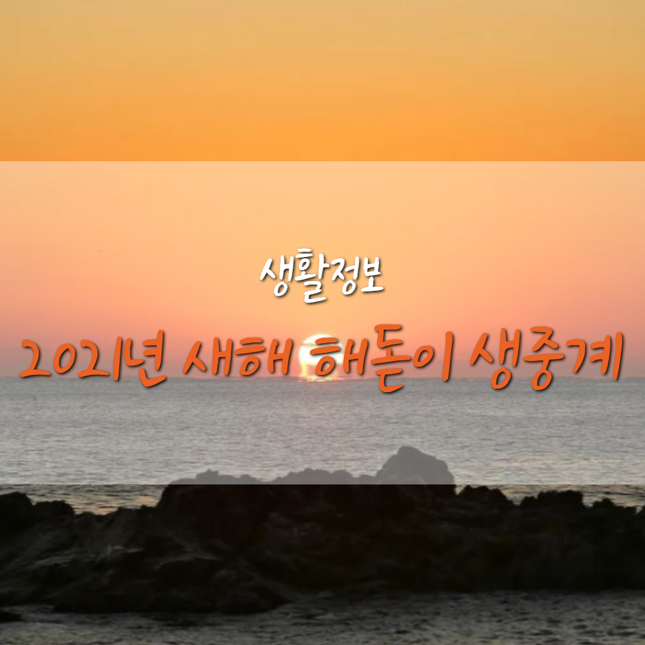  2021 신축년 해돋이는 집에서 생중계 화면으로!