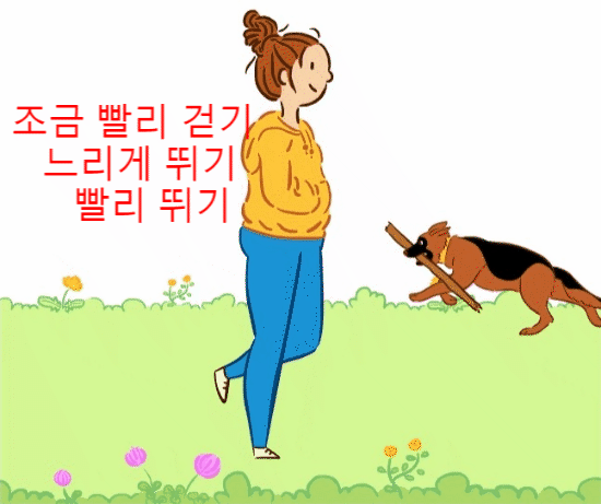  [어느 것이 좋을까] 걷기, 느리게 뛰기, 빨리 뛰기