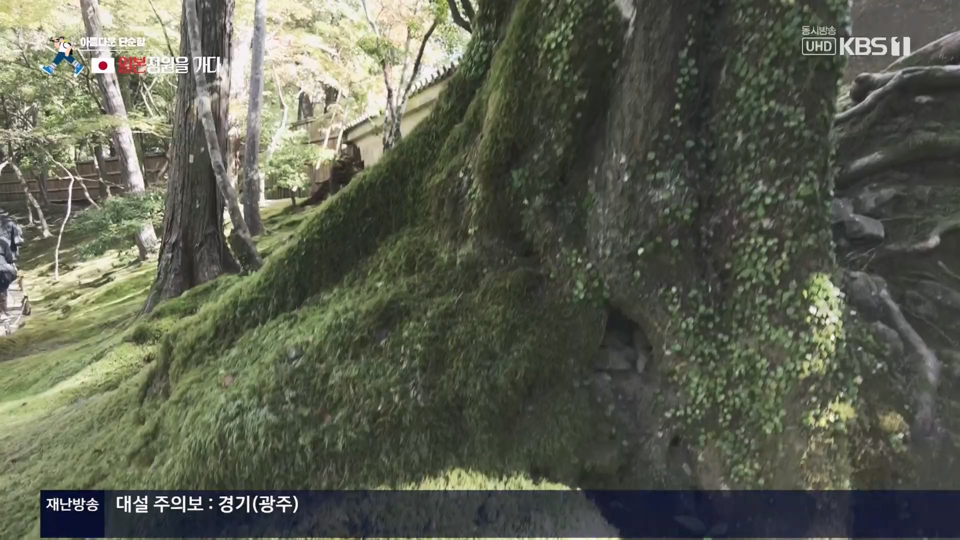 걸어서 세계속으로.E821.231216p.H264-F1RST.mp4_20240127_165049.247.jpg