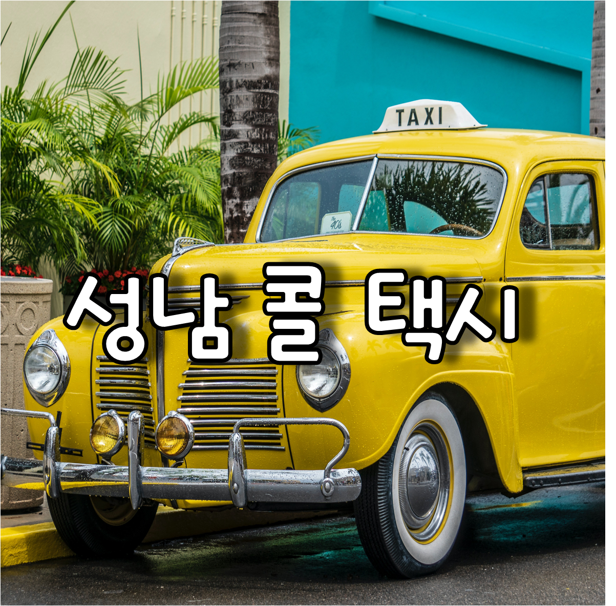 성남 콜 택시